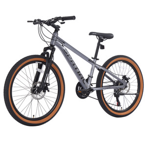 Bicicleta de Montaña Barata en Stock en Almacenes de EE. UU. y la UE, 24 Pulgadas, Suspensión, Frenos de Disco, Bicicleta MTB Plateada - Product Image 1