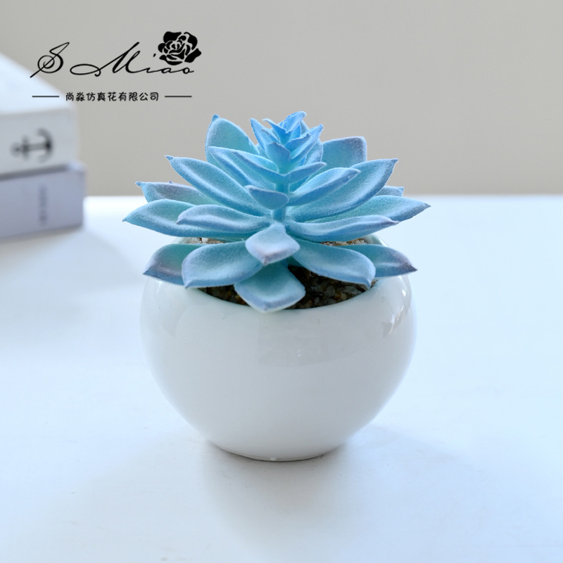 SKU_11