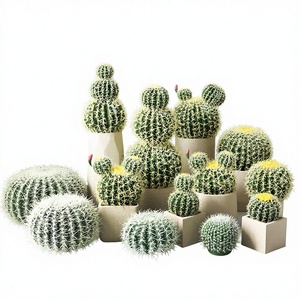 Simulation de <span class=keywords><strong>d</strong></span>ésert tropical, <span class=keywords><strong>grande</strong></span> <span class=keywords><strong>plante</strong></span> verte de cactus <span class=keywords><strong>d</strong></span>'<span class=keywords><strong>intérieur</strong></span>, pour embellir les vitrines de magasin - Product Image 1