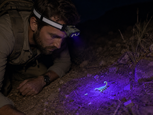 <span class=keywords><strong>Lampe</strong></span> frontale LED à capteur 500LM mains libres, phare de vélo multi-modes, <span class=keywords><strong>lampe</strong></span> frontale rechargeable avec lumière stroboscopique laser rouge et bleue - Product Image 5