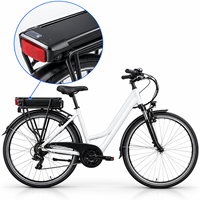 Batterie au lithium OEM personnalisée 36V 10.4Ah 11.6Ah pour vélo électrique, pack de batterie pour porte-bagages arrière, pour vélo de ville, vente en gros usine