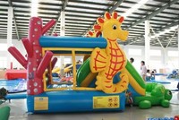 GLISSIÈRE SÈCHE GONFLABLE DE HAUTE QUALITÉ. Le château gonflable gonflable peut être une aire de jeux gonflable personnalisée pour la maison
