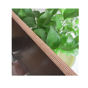 4x8ft 12mm 15mm 18mm 21mm Pappelkern Beton-Sperrholz Braunes Schalungsplatten-Sperrholz - Product Image 1