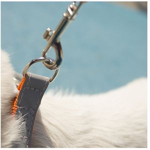 Arnés resistente barato personalizado para perros Diseño único Hebillas resistentes Durable sin tirar Arnés para perros Chaleco - Product Image 4