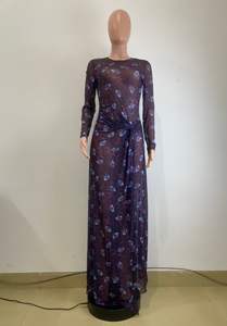 Abito lungo in rete stampato all-over 2026 da donna con spacco alto, design arricciato, sexy e aderente per tutti i giorni - Product Image 4