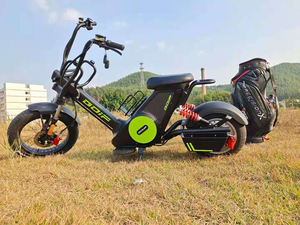 Neues Modell High <span class=keywords><strong>Speed</strong></span> 2000w 2 Rad Citycoco Fat Tire Elektro Golf Fahrrad wagen Roller Erwachsener - Product Image 4