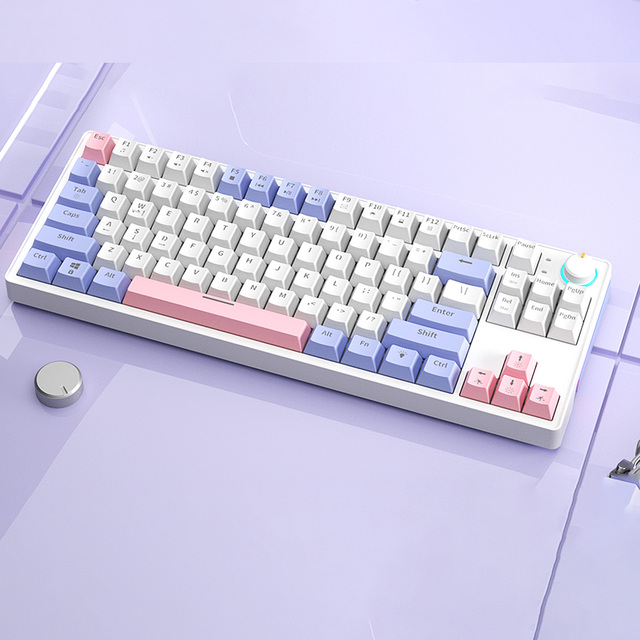 Custom RGB Gaming Mechanical Keyboard 87 Keys 80% Silent Switch Wired USB 2.4G Wireless Hot Swap Russian Gaming Keyboard