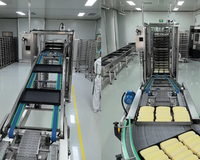 Nouvelle machine automatique ADMF de chargement et de déchargement de plateaux de cuisson pour ligne de production de boulangerie