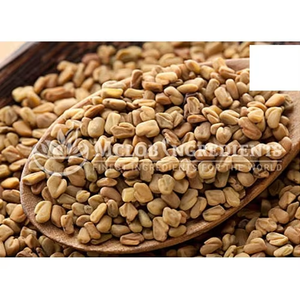 ผงเมล็ดฟีนูกรีก เกรดอาหาร สมุนไพรธรรมชาติ - Product Image 3
