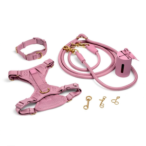 Ensemble complet de harnais de promenade pour chien, collier, laisse, porte-sac à excréments, kit confort réglable OEM ODM pour chiens - Product Image 2