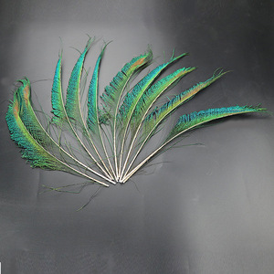 <span class=keywords><strong>Peacock</strong></span> kiếm lông cho trang trí đám cưới, dự án thủ công DIY, trang phục biểu diễn sân khấu, retro chủ đề bên - Product Image 3