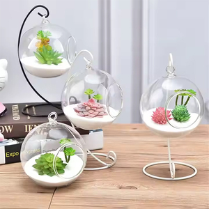 Ev Dekorasyonu Asılı Saksı El Yapımı Cam Küre Bitki Kavanozu Demir Standlı Teraryum Hidroponik Bitkileri Çoğaltmak İçin - Product Image 2