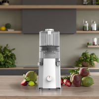 Elektrische fruit- en groentesapcentrifuge Moderne hoge kwaliteit 1,5L RV-compatibel Stille DC-motor Smoothie Multifunctionele slowjuicer