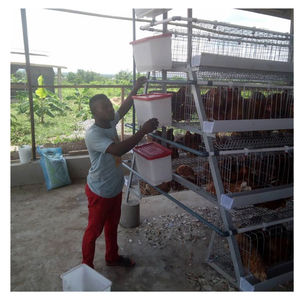 Cage à poules de type 4 à 4 étages pour 128 poules, pour poulailler, ferme avicole - Product Image 1