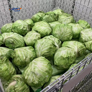 Châu Âu gấp dây lưới container kim loại thép có thể gập lại lưu trữ Pallet cho chai rượu vang hàng hóa & Thiết bị lưu trữ - Product Image 2