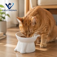 Bol pour animaux de compagnie en céramique blanche avec base en forme de patte d'animal, bol surélevé pour nourriture et eau pour chats et petits chiens