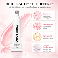 Sérum pour les lèvres anti-glycation avec logo personnalisé, baume à lèvres brillant végétalien, gloss à lèvres longue durée, hydratant, 5 couleurs, soin des lèvres, 15 ml