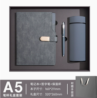 Carnet A5 multifonctionnel à feuilles mobiles, style professionnel, couverture en cuir PU premium changeant de couleur, beige, papier protecteur pour les yeux, coffret cadeau