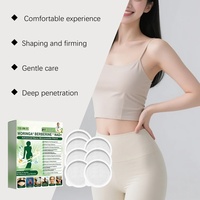 Patchs Microneedle de Soin Cutané Botanique au Moringa Marque Blanche – 7 Patchs à l'Extrait Végétal pour Confort Cutané Externe