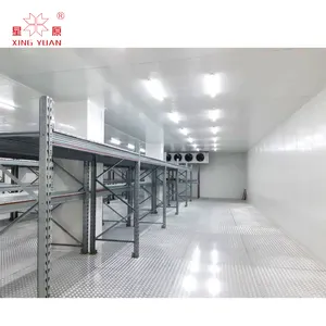 Cold store cold room for fruit and vegetables with a volume of 800 ton