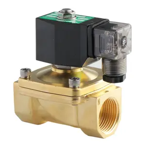 2N Brass DN25 1" Direct Acting Normally Close Solenoid Valve 0-10 BAR 220VAC 110VAC 24VDC 12VDC