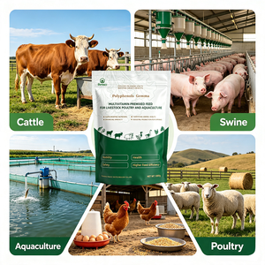 Prémélange polyphénolique multivitaminé lyophilisé en poudre de laitue pour l'alimentation des poissons, des <span class=keywords><strong>chevaux</strong></span> et des chiens - Qualité alimentaire aquatique pour la prise de poids et la croissance - Product Image 6