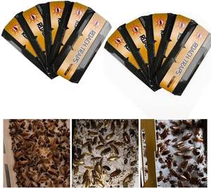 Pièges à cafards à colle forte, non toxiques et écologiques, pour la maison, la cuisine et l'usage commercial - Product Image 1