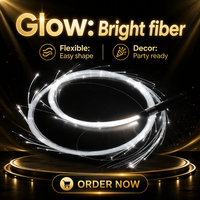 Fouet lumineux à fibres optiques LED rechargeable, jouet pour la danse, idéal pour les soirées en boîte de nuit