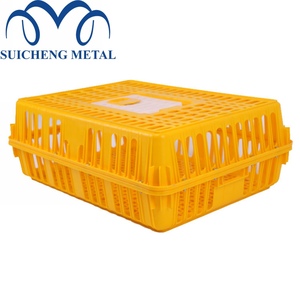 poultry farming day old chick shipping boxes transport crates for Nigeria