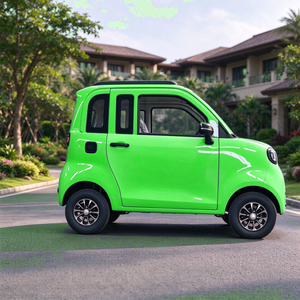 Voiture électrique urbaine à 2 places avec caméra de recul <span class=keywords><strong>et</strong></span> pneus 125 60R12 certifiée COC - Product Image 2