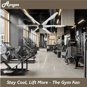 Ventilador de Techo Comercial Apogee con Logotipo OEM IP65 para Gimnasio con Motor de Ventilador HVLS - Product Image 5