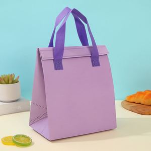 Sac isotherme portable de haute qualité en non-tissé à motif lettres, grande capacité, pour panneaux solaires - Product Image 2