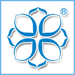 Shanghai Detian Display Co., Ltd. logo
