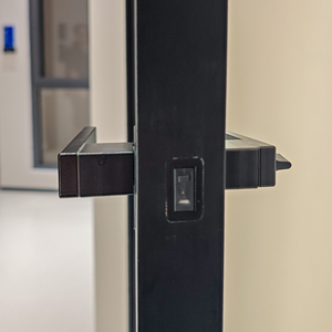 Puertas de Entrada Exteriores Deioux, Diseño de Puertas Francesas de Aluminio con Vidrio Templado, Puertas Dobles de Vidrio para Patio, Puerta Abatible NFRC - Product Image 6
