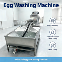 Lavage, brisage, séparation des liquides et pasteurisation des œufs entièrement automatiques en acier inoxydable SUS304 pour usage industriel