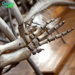 Museo Gecai calidad mamut Artificial fósiles huesos resina mamut cráneo <span class=keywords><strong>esqueleto</strong></span> animal escultura para la venta - Product Image 5