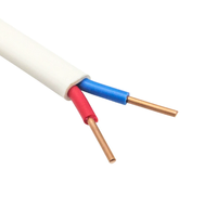 Câble électronique double parallèle 2 conducteurs rouge et noir 24AWG avec isolation PVC, cordon d'alimentation pour lampe LED