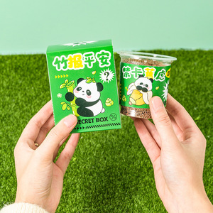 Caja Sorpresa de Plantas Panda, Plantas en Maceta, Paquete Individual para Niños, Regalo de Regreso a Clases, Decoración de Escritorio - Product Image 3