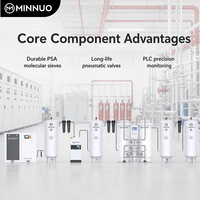 Système Générateur d'Azote PSA Minnuo 450 Nm³/h 99,999% Haute Productivité avec Moteur à Engrenages pour Extinction d'Incendie