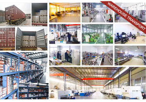 Roulement à billes à gorge profonde, roulement de haute qualité 6200 6201 6202 <span class=keywords><strong>6203</strong></span> 6204 6205 6206 - Product Image 6