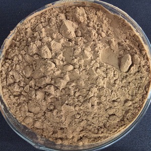 <span class=keywords><strong>Extrait</strong></span> <span class=keywords><strong>de</strong></span> Polygonatum biologique <span class=keywords><strong>de</strong></span> qualité alimentaire ISO 10:1 en poudre, sans soufre, antioxydant pour adultes, personnalisable - Product Image 3
