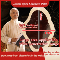 Patchs de douleur corporelle lombaire au miel de grande taille OEM 10 pièces/sac patchs de plâtre pour douleurs au genou et à la cheville pour les soins de santé