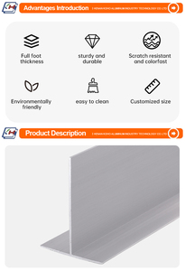 Hệ thống lưới Trần T-Bar Phòng sạch, nhôm anodized cho tấm treo - Product Image 5