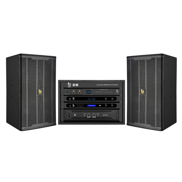Professional Audio Speakers With Deep Bass 300W 2.0 Channel Stereo Speaker System for Immersive Sound Quality