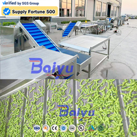 Baiyu 304 RVS Fruit- en Groentebellenwasmachine voor Industriële Toepassingen