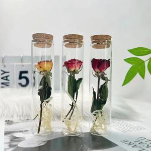 Tube à essai de roses séchées bouquet de fleurs séchées en verre petits ornements spécimen de plante diy pour le cadeau de la fête des enseignants - Product Image 1