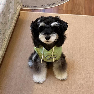 शरद ऋतु सर्दियों के कैजुअल कुत्ते कपड़े पॉलिएस्टर फ्लेक्स-लाइन पर्यावरण के अनुकूल हुडी स्वेटशर्ट xl आधुनिक अक्षर schnazer पश्चिम हाइलैंड - Product Image 4