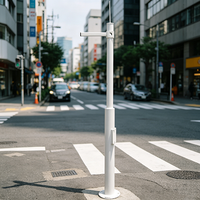 Poteau de Caméra de Sécurité Urbaine Octogonal à Bras Unique en Acier Inoxydable 304 avec LED AC IP68 pour Surveillance Complète