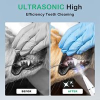 Draagbare ultrasone tandheelkundige scaler, elektrische tandenpoetsmachine met 3 reinigingskoppen voor de verzorging van de tanden van honden en katten