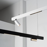 Tunnable blanc DALI TUYA ZIGBEE 0-10V led magnétique DC48V projecteur downlight linéaire rail système d'éclairage